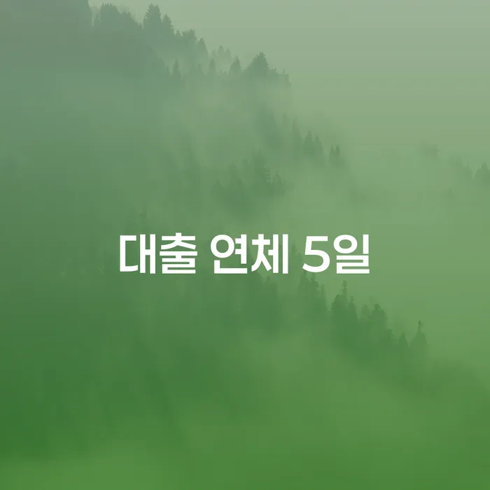 성공사례 개인회생 무료상담진행