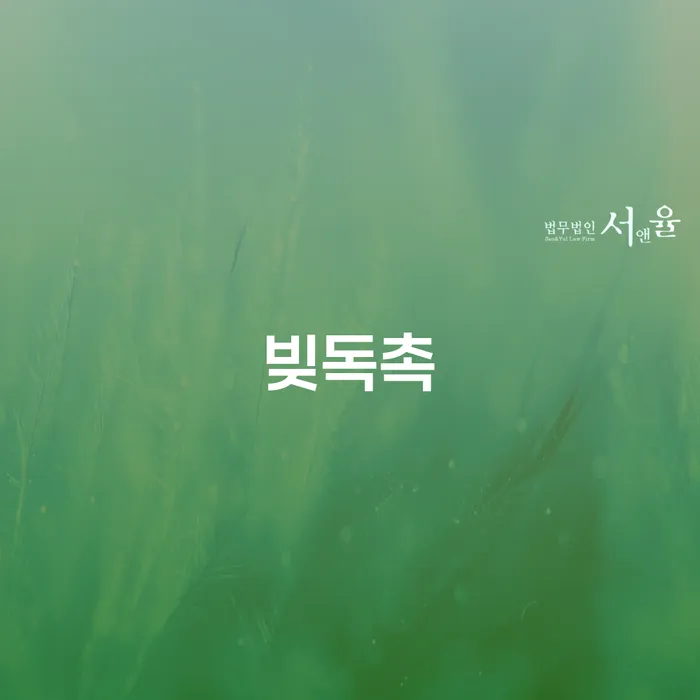 신용카드연체시 개인회생,개인파산으로 있는지확인