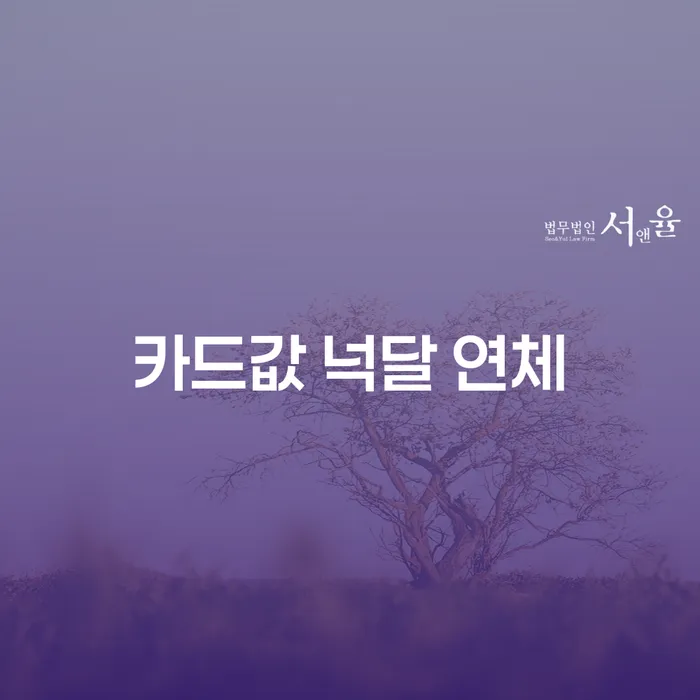 개인회생 법무사 비용 싸고 대출 연체 개인회생 알아봐야 할 사항