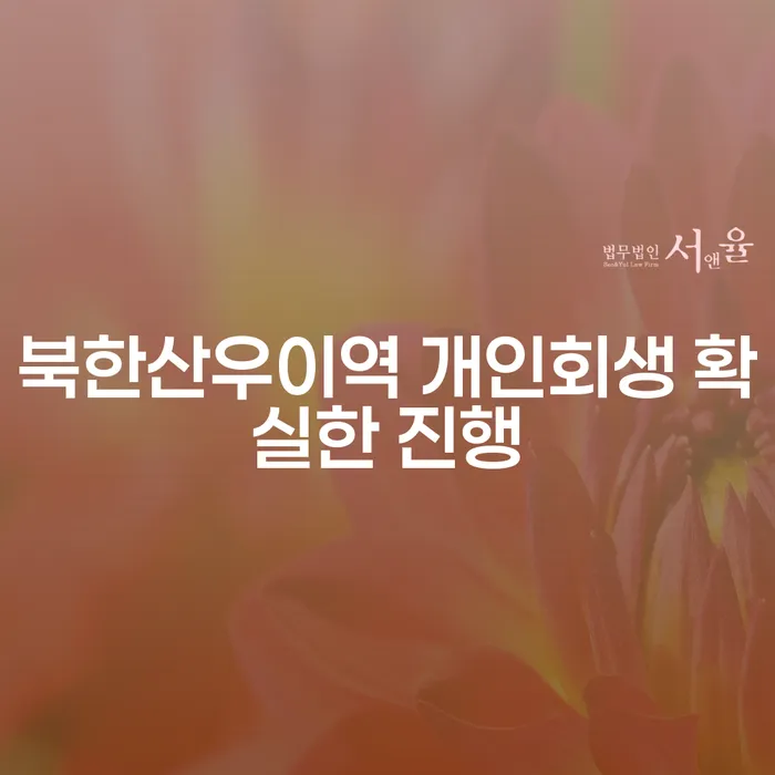 북한산우이역 개인회생 확실한 진행