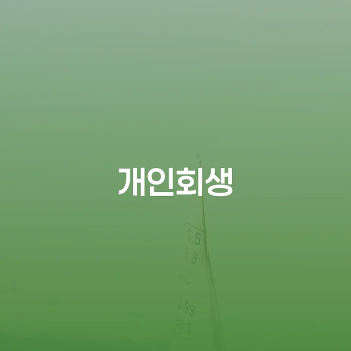 안성시 개인회생 절차와 사례